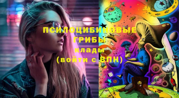 прущий лед Алексин