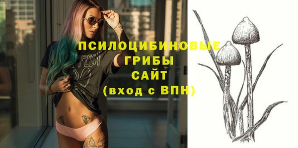 амф Алексеевка