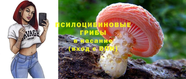 прущий лед Алексин